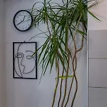 Mima Apartment