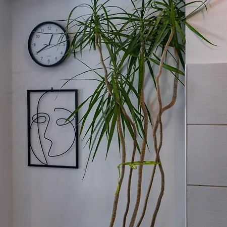 Mima Appartement